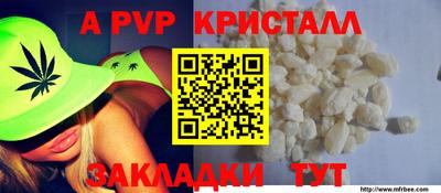 шишки Аргун