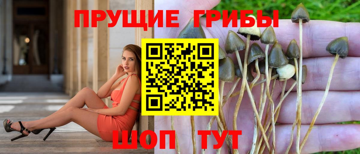 Галлюциногенные грибы ЛСД  Вход с VPN  Псилоцибиновые грибы мицелий  магазин    Барнаул 